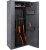 Сейф Safetronics MAXI-10P ME/10